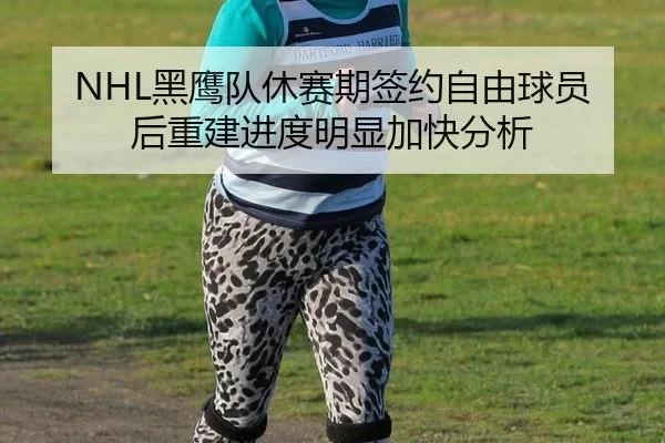 NHL黑鹰队休赛期签约自由球员后重建进度明显加快分析