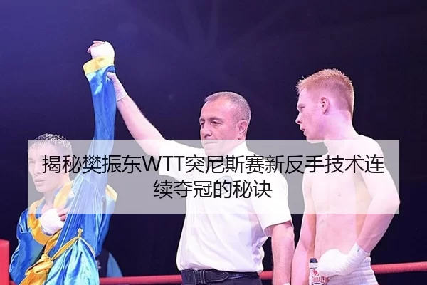 揭秘樊振东WTT突尼斯赛新反手技术连续夺冠的秘诀